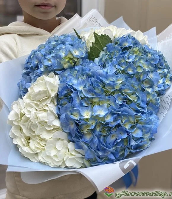 Букет из белой и голубой гортензии, 9 шт.