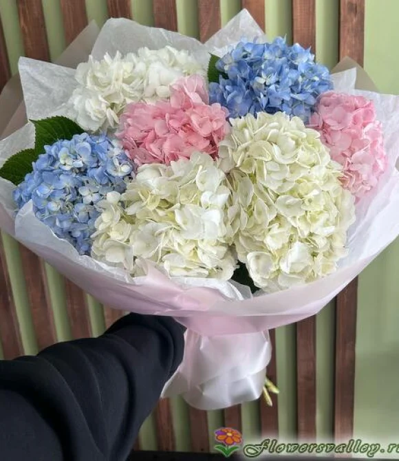Букет из разноцветных гортензий, 7 шт.