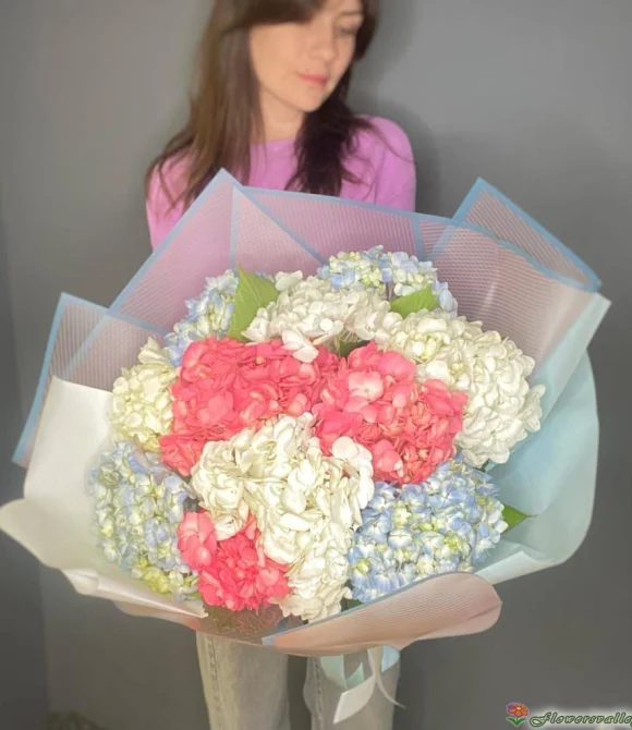Букет из разноцветных гортензий, 11 шт.