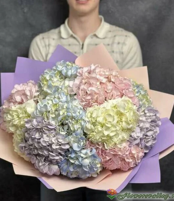Букет из разноцветных гортензий, 11 шт.