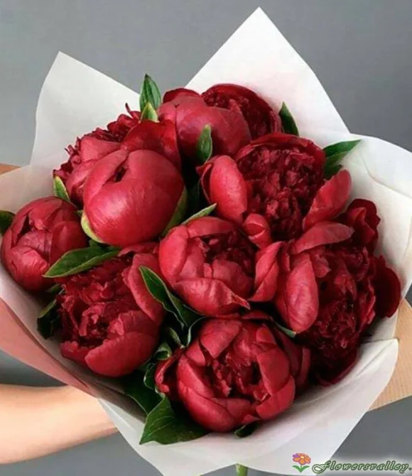 Букет из красных пионов, 9 шт.