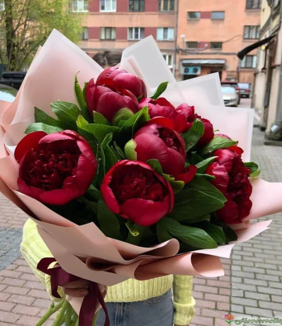 Букет из красных пионов, 9 шт.
