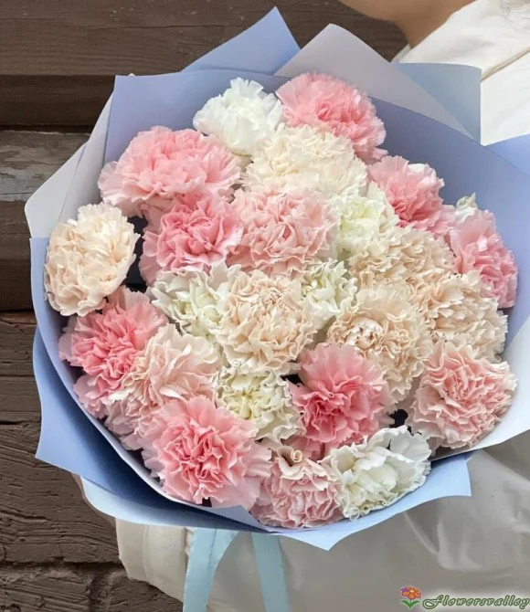 Букет из гвоздик и эвкалипта, 25 шт
