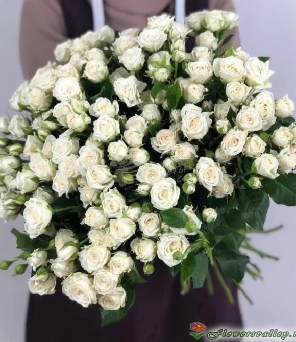 Букет из 35 кустовых роз