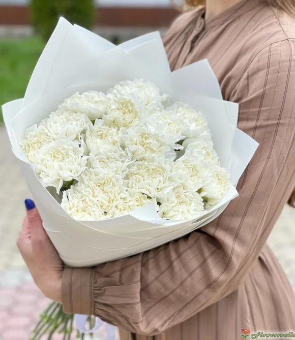Букет из 25 белых гвоздик