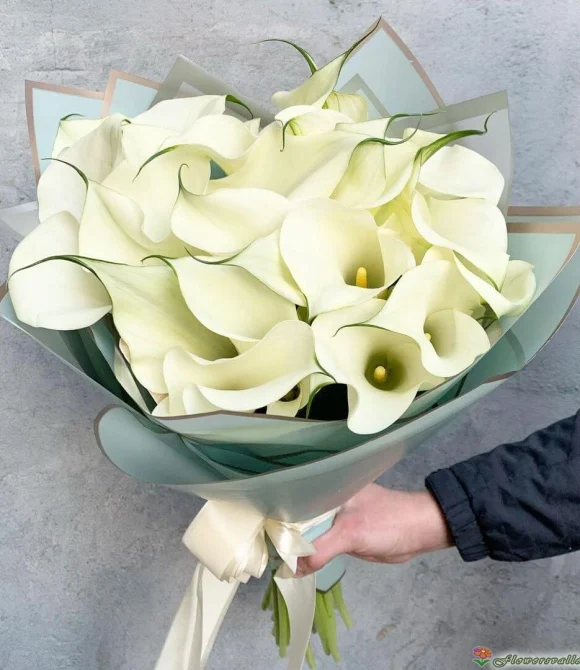 Букет из 25 белых калл