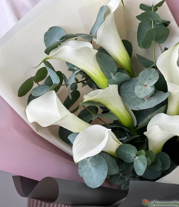 Букет из 7 белых калл