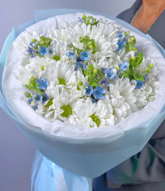 оксипеталум2