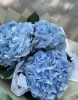 Букет из 3 гортензий голубых