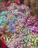 Букет из разноцветной гипсофилы