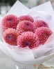 Букет из розовых георгин, 7шт.