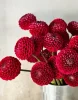 Букет из красных георгин