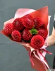 Букет из красных георгин, 9 шт.