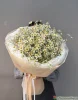 Букет из ромашек ( Tanacetum )