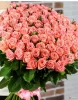 Букет из 101 розы Би Свит, (пр-во Эквадор, сорт "Be Sweet") фото 4