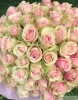 Букет из 101 роз Фрутетто ( сорт "Frutteto", пр-во Эквадор)