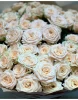 Букет из 15 персиковых кустовых роз "Яна" (JANA) Фото 2