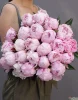 25 пионов