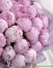 25 пионов
