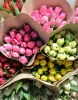 тюльпаны в упаковке по 20шт. микс