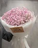 гипсафила розовая 5 шт