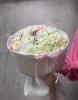гортензия, хрезантема кустовая, хризантема Сантини, диантусы