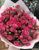 розова роза кустовая