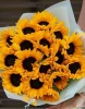 25 подсолнухов