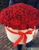 101 роза в шляпной коробке