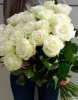 Букет из 25 белых роз (пр-во Эквадор, сорт "Мондиаль")