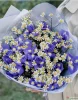Букет из ирисов и матрикарии