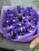 Букет из 25 ирисов
