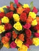 35 разноцветных роз