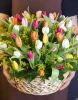 Корзина 35 разноцветных тюльпанов
