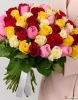 51 разноцветная роза