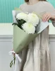Хризантема одноголовая 