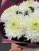 хризантема одноголовая 5 штук