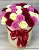 Коробка из 25 разноцветных роз