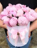 15 пионов с эвкалиптом в шляпной коробке