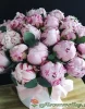 Шляпная коробка с розовыми пионами, 25 шт.