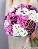 35 хризантем