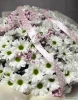 хризантема ромашка с гипсофилой