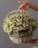 Корзина с ромашками