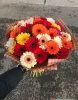 35 разноцветных гербер