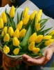 25 желтых тюльпанов