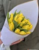 25 желтых тюльпанов