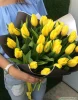 Тюльпаны желтые