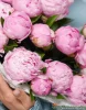 Розовые пионы с эвкалиптом 15 шт.