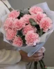 Букет из гвоздик и эвкалипта, 11 шт