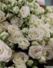 Букет из 25 кустовых роз